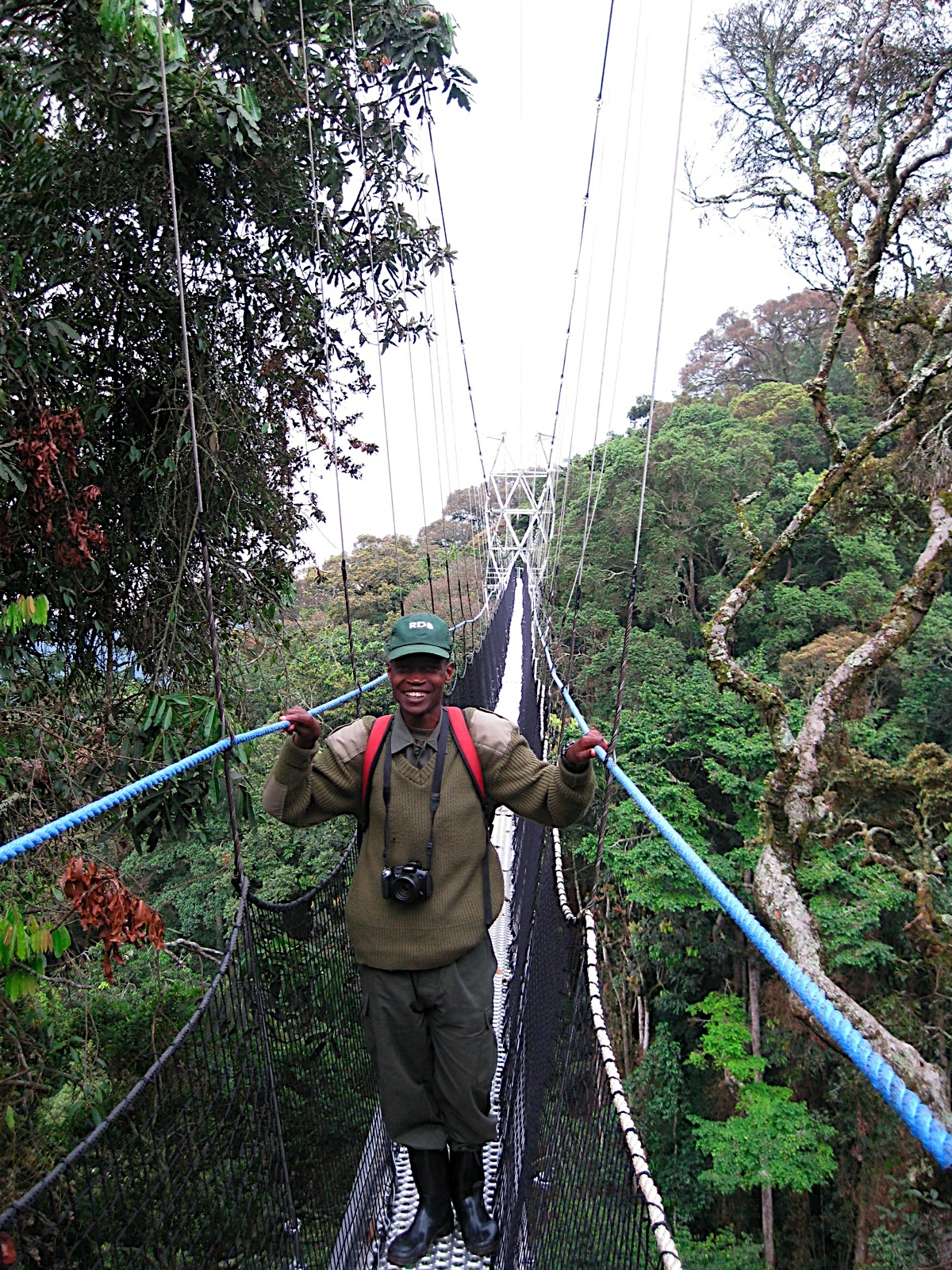 Canopy Walk in Nyungwe Forest National Park